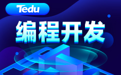 编程开发培训